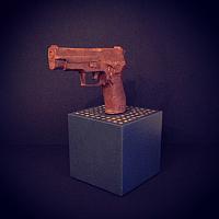 Gun project 2014